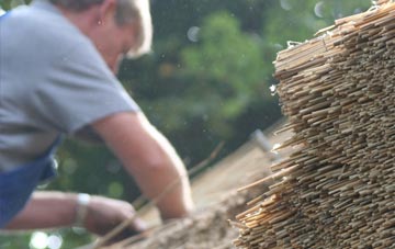 professional Ipplepen thatchers